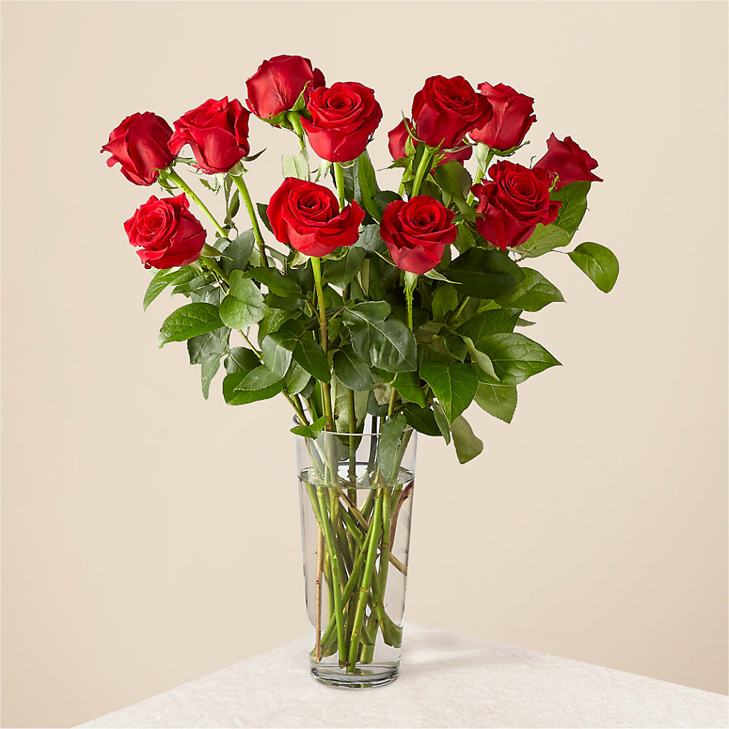 Long Stem Red Rose Bouquet – Seminole Flower Shop Inc, Sanford FL