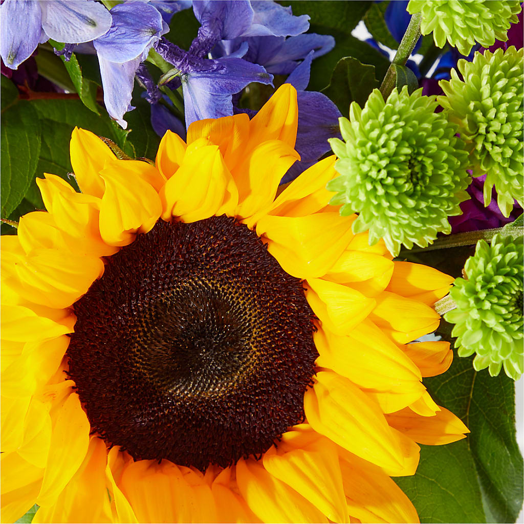 Catching Rays Bouquet – Seminole Flower Shop Inc, Sanford FL