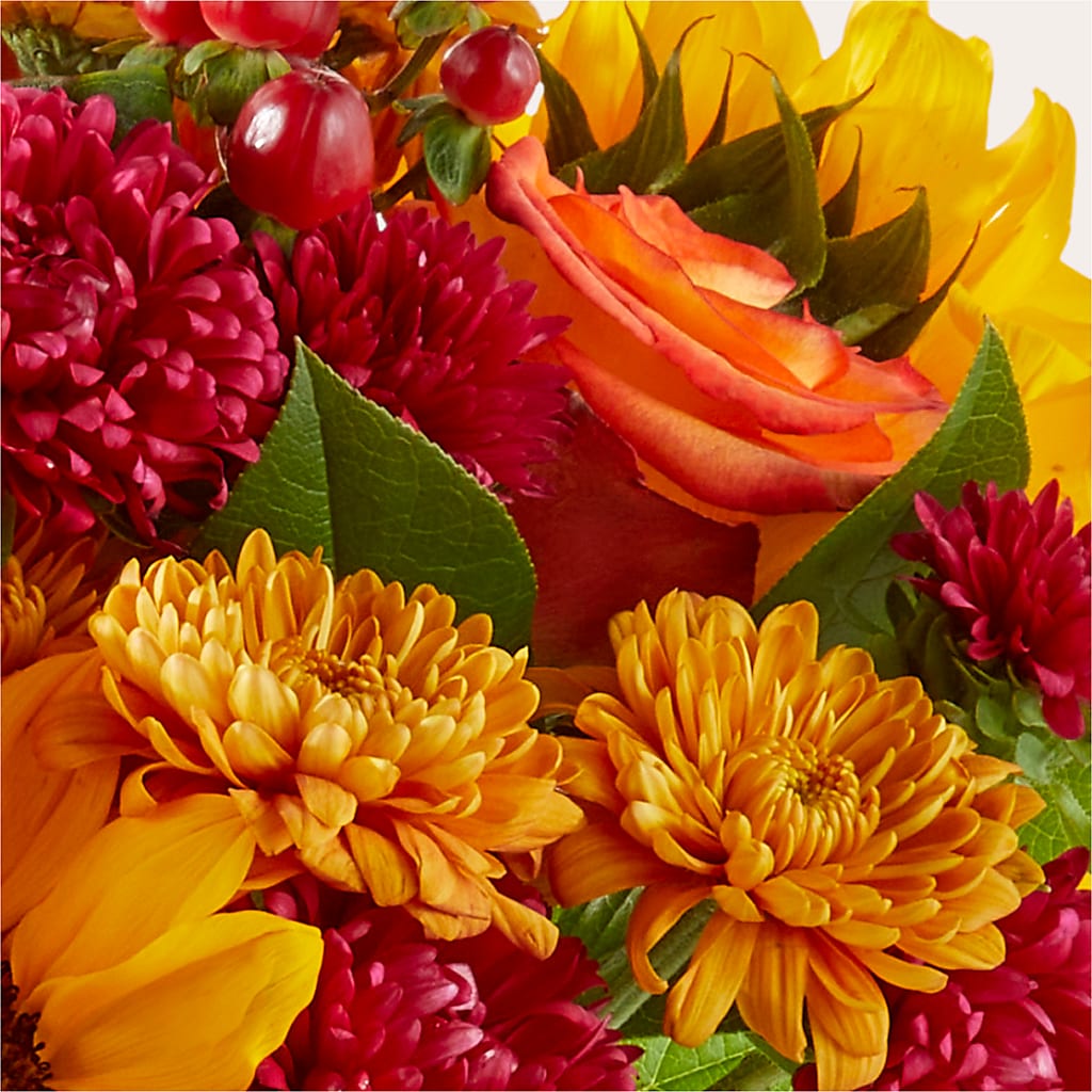 Sweater Season - A Florist Original – Seminole Flower Shop Inc, Sanford FL