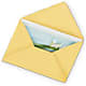 Greeting Card – Seminole Flower Shop Inc, Sanford FL