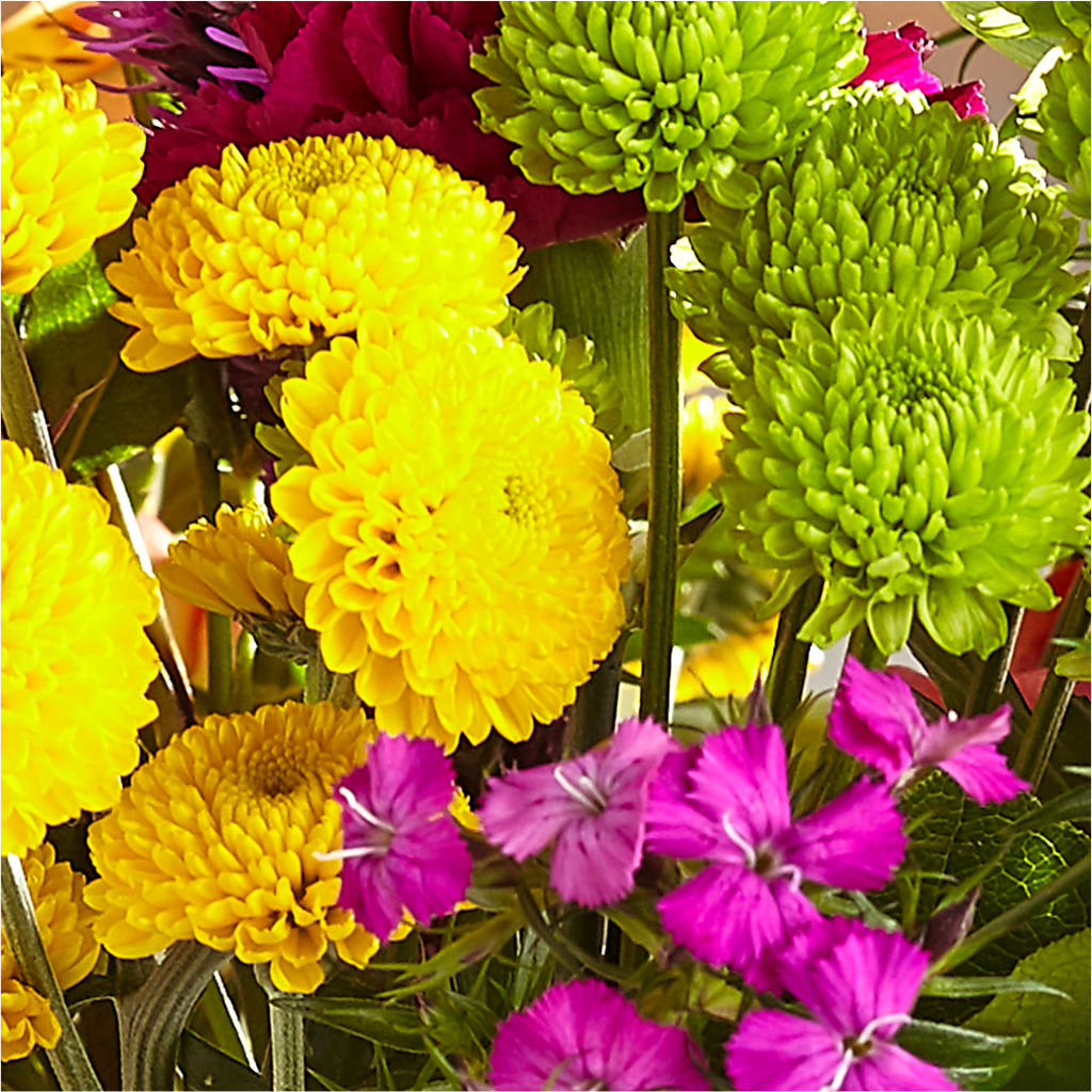 Bold & Bright – A Florist Original –  Seminole Flower Shop Inc, Sanford FL