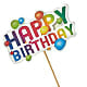 Happy Birthday Pick –  Seminole Flower Shop Inc, Sanford FL
