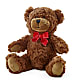 Adorable Plush Bear –  Seminole Flower Shop Inc, Sanford FL