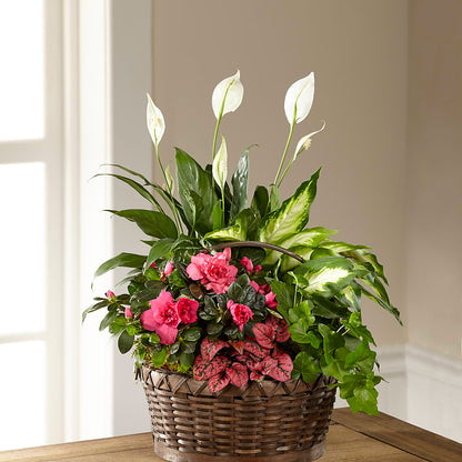 Dream in Pink Dishgarden –  Seminole Flower Shop Inc, Sanford FL