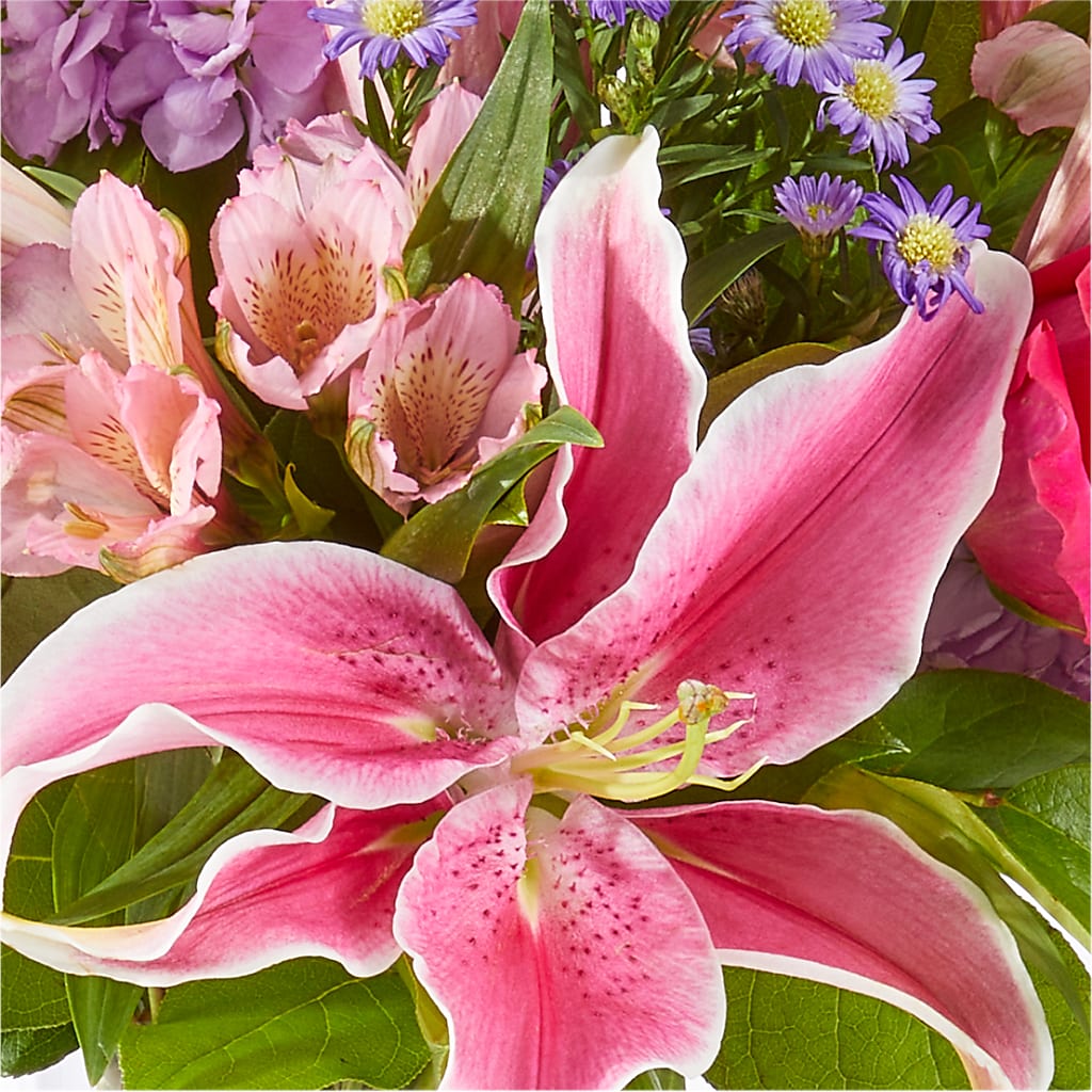 Written in the Stars Bouquet –  Seminole Flower Shop Inc, Sanford FL