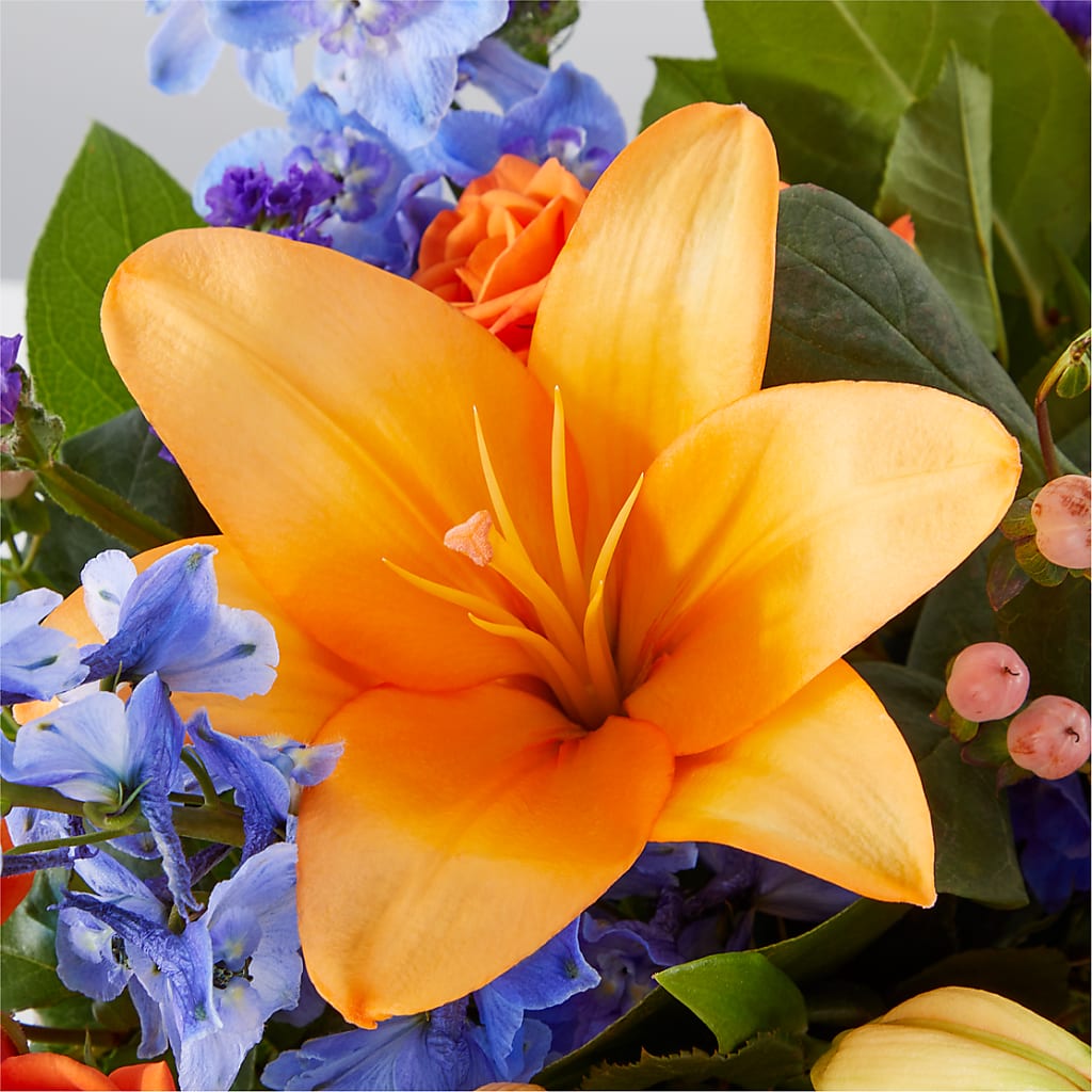 Radiant Citrus Box Bouquet –  Seminole Flower Shop Inc, Sanford FL
