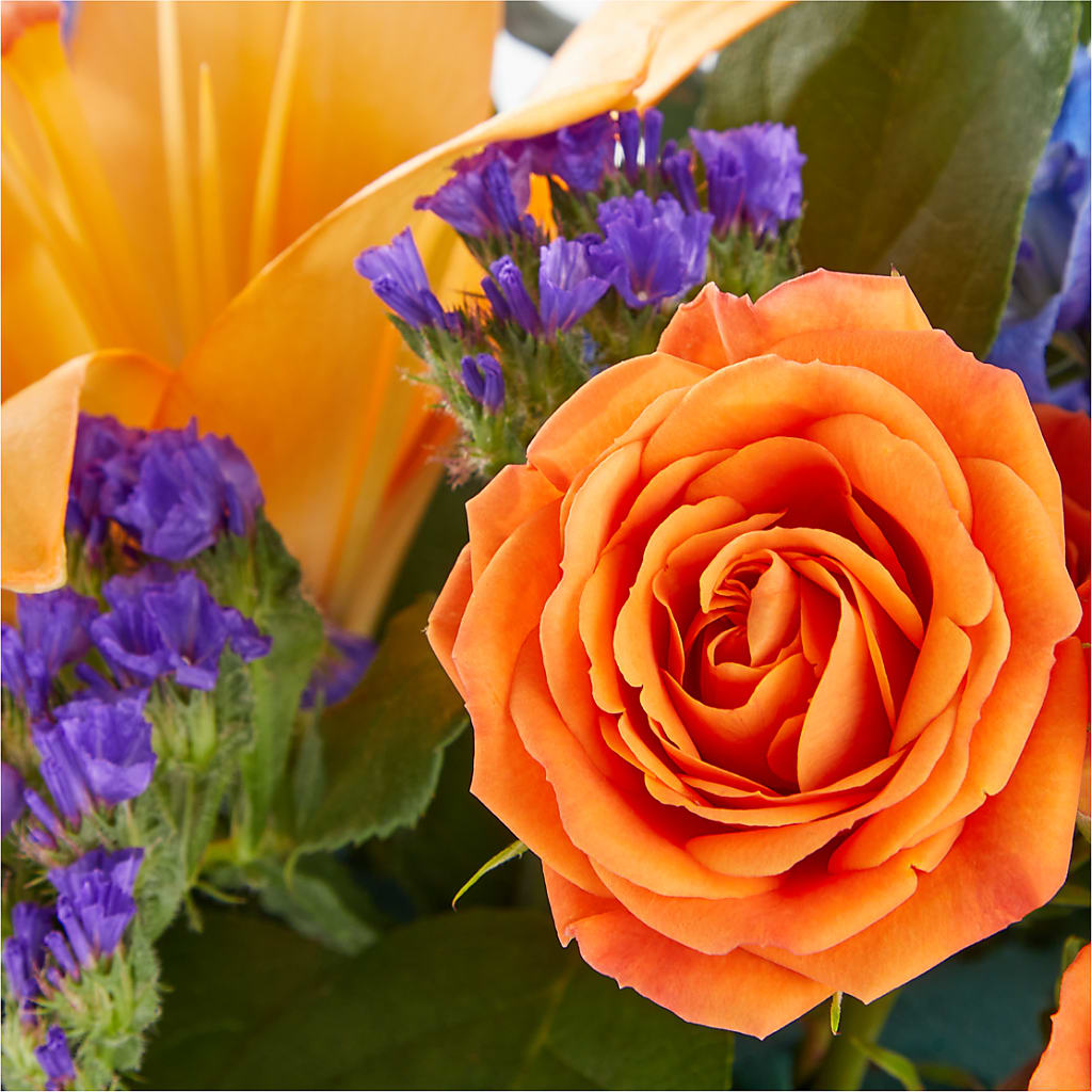 Radiant Citrus Box Bouquet –  Seminole Flower Shop Inc, Sanford FL