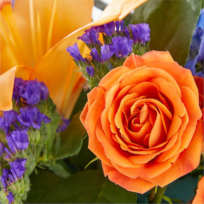 Radiant Citrus Box Bouquet –  Seminole Flower Shop Inc, Sanford FL