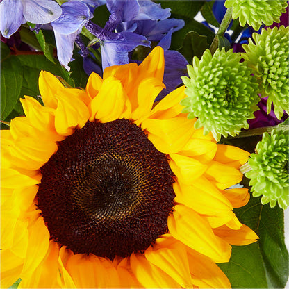 Catching Rays Bouquet –  Seminole Flower Shop Inc, Sanford FL