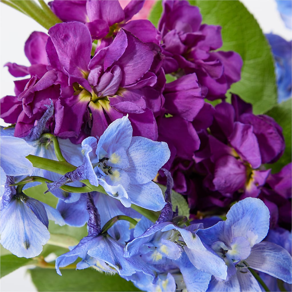 Twilight Glow Bouquet –  Seminole Flower Shop Inc, Sanford FL