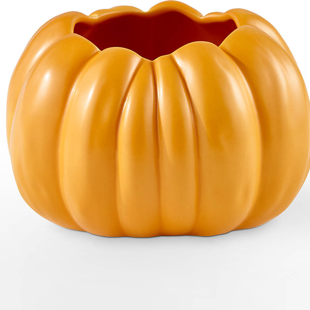 Golden Gourd Pumpkin Bouquet –  Seminole Flower Shop Inc, Sanford FL