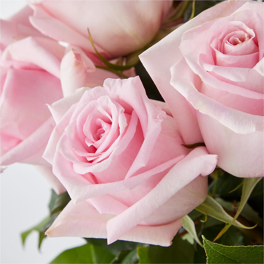 Picture Perfect Pink Rose Bouquet –  Seminole Flower Shop Inc, Sanford FL