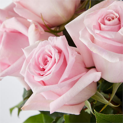 Picture Perfect Pink Rose Bouquet –  Seminole Flower Shop Inc, Sanford FL