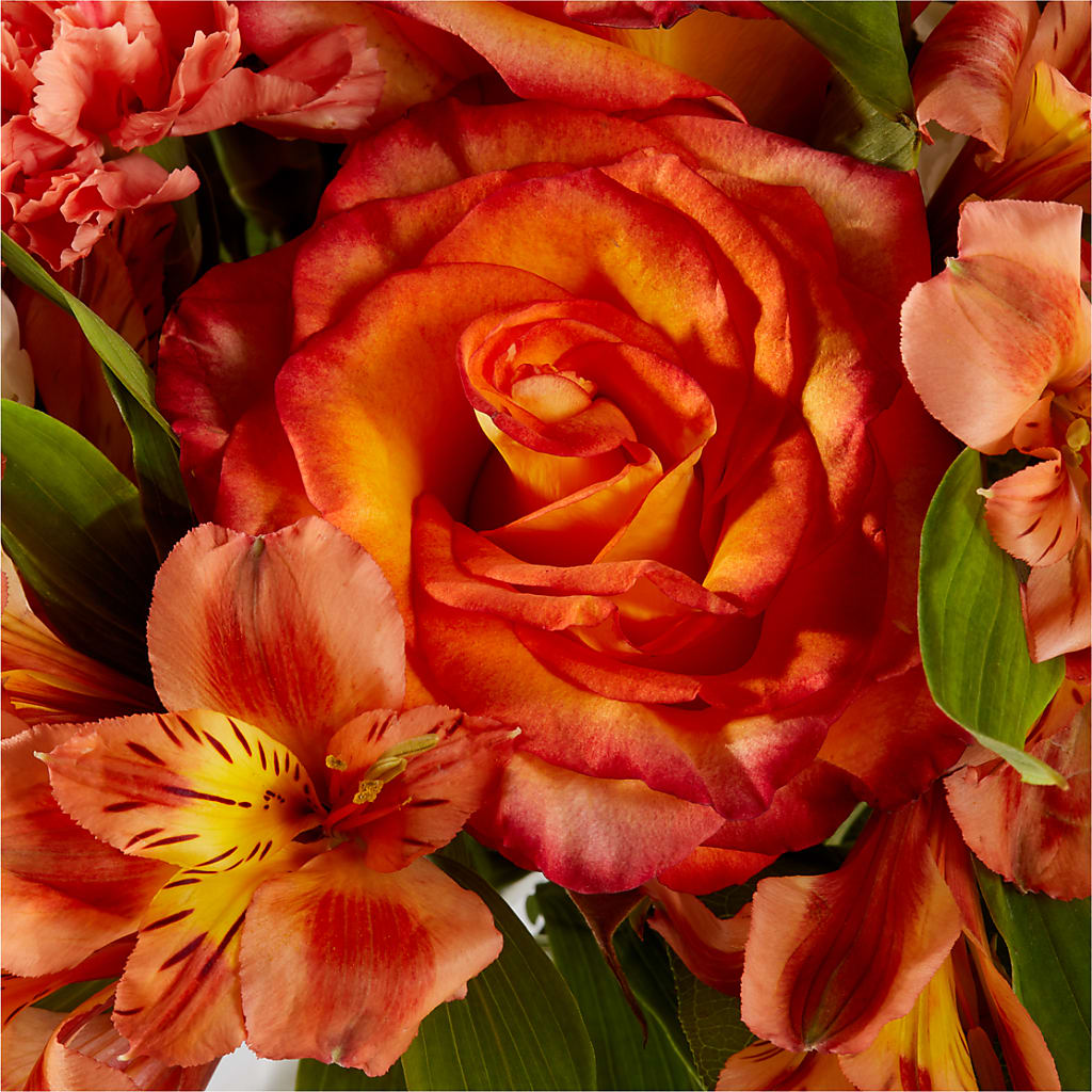 Apricot Glow Bouquet –  Seminole Flower Shop Inc, Sanford FL