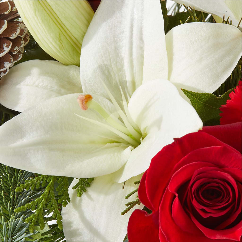 Oh So Jolly Bouquet –  Seminole Flower Shop Inc, Sanford FL