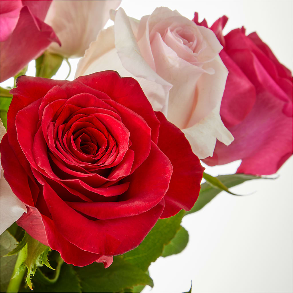 Charming Rose Bouquet –  Seminole Flower Shop Inc, Sanford FL