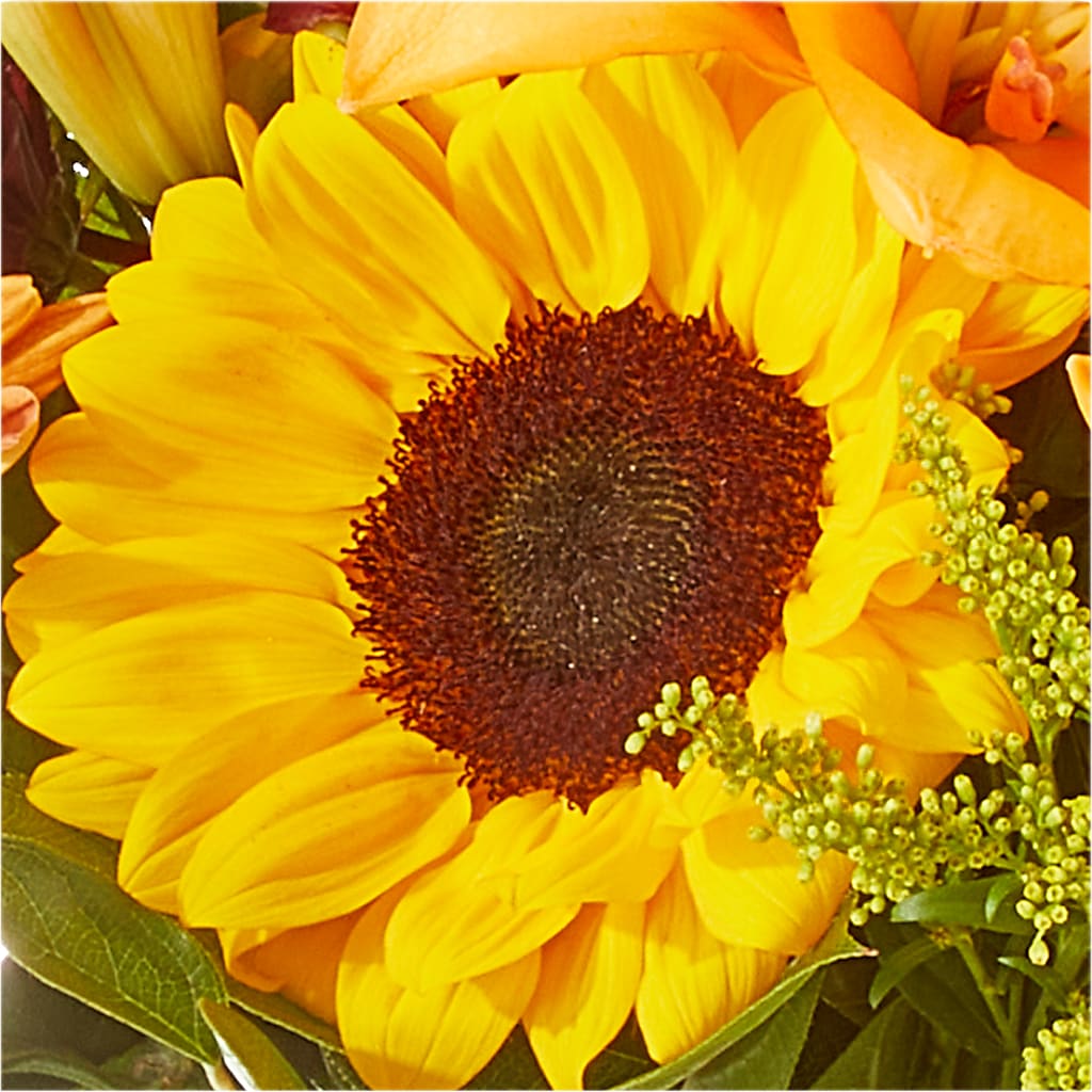 Seasons Change Bouquet –  Seminole Flower Shop Inc, Sanford FL