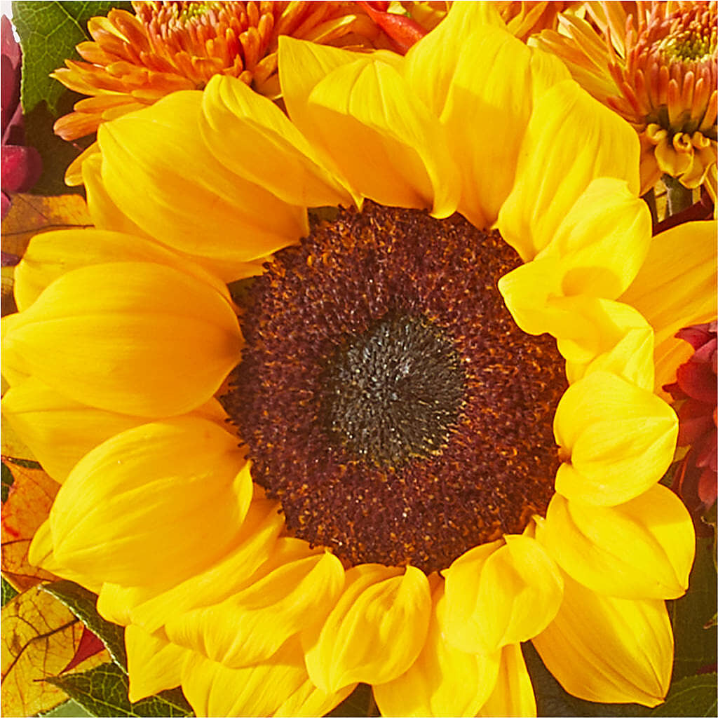 Sunny Side Bouquet –  Seminole Flower Shop Inc, Sanford FL