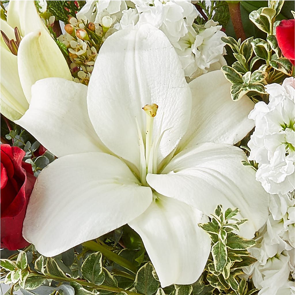 Twinkle Lights Bouquet –  Seminole Flower Shop Inc, Sanford FL