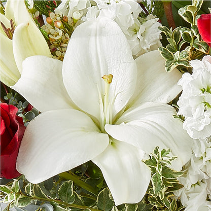 Twinkle Lights Bouquet –  Seminole Flower Shop Inc, Sanford FL