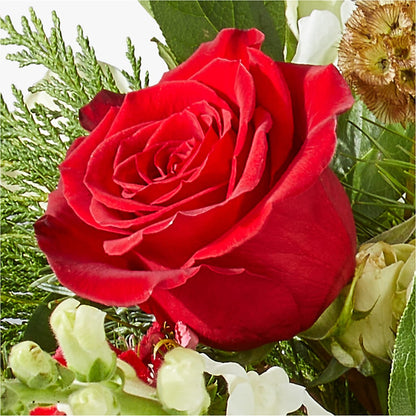 Deck the Halls Bouquet –  Seminole Flower Shop Inc, Sanford FL