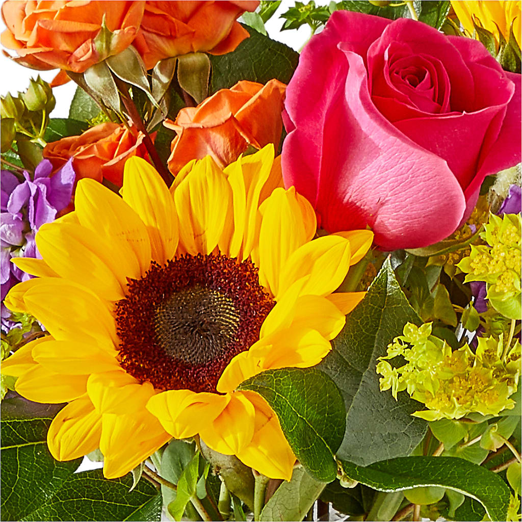 Vibrant Greetings Bouquet –  Seminole Flower Shop Inc, Sanford FL