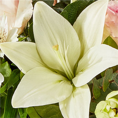 Ballet Slippers Bouquet –  Seminole Flower Shop Inc, Sanford FL