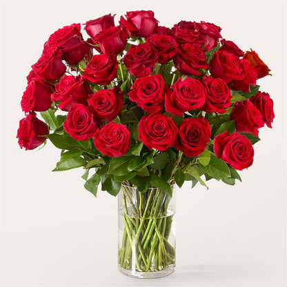 The One Red Rose Bouquet –  Seminole Flower Shop Inc, Sanford FL